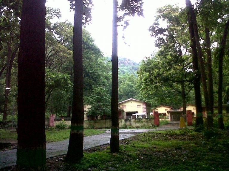 IMG-20140719-00744